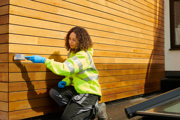 Best Fascia and Soffit Installation  in Twin Lake, MI
